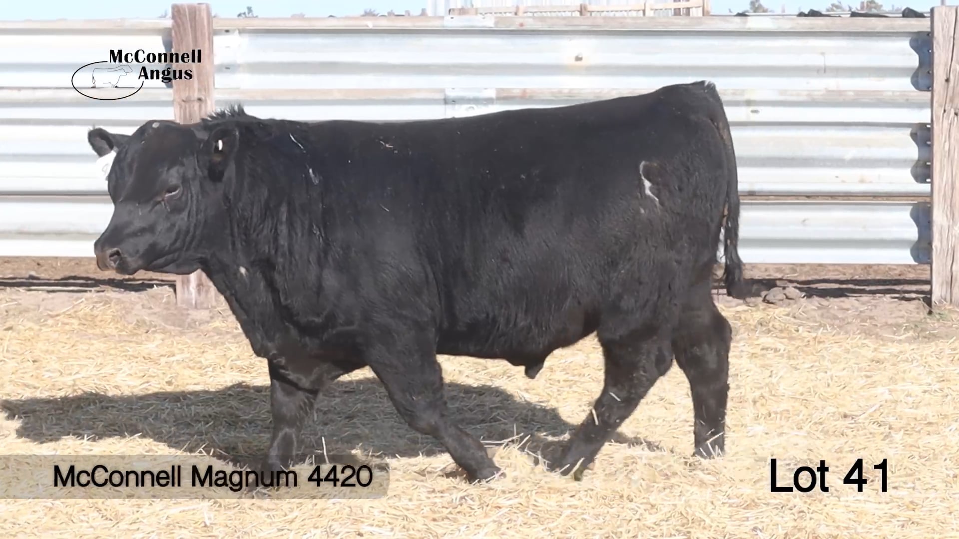 Lot 41 McConnell Magnum 4420