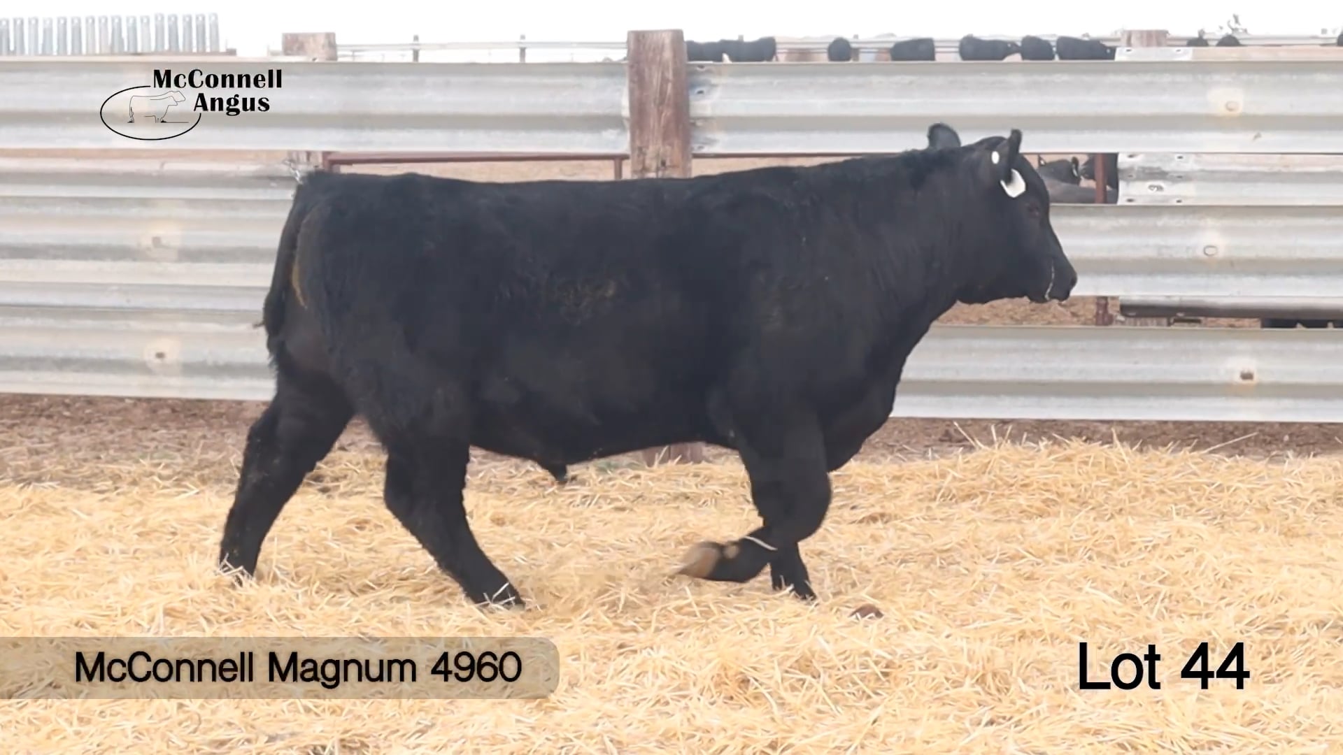 Lot 44 McConnell Magnum 4960