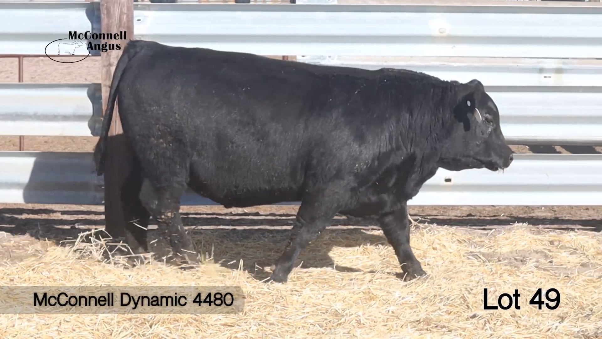 Lot 49 McConnell Dynamic 4480