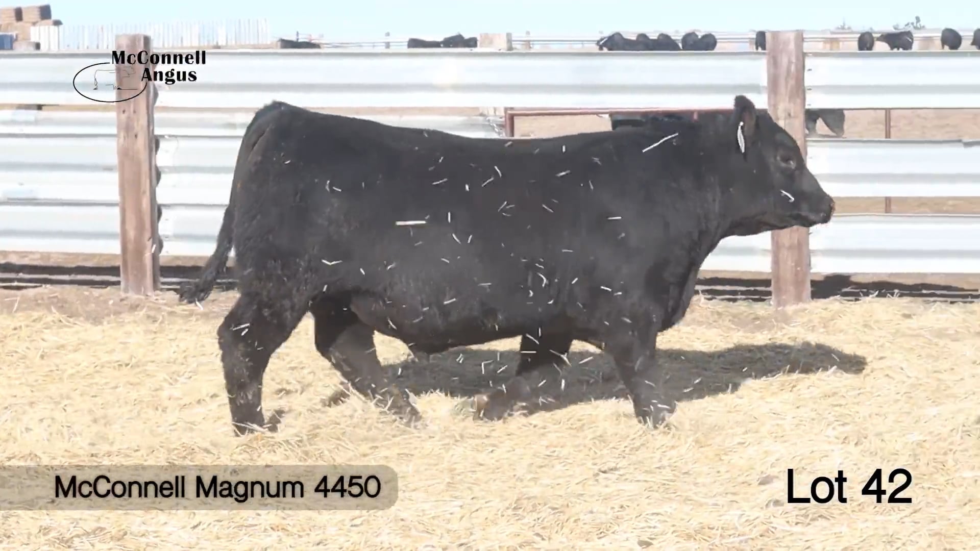 Lot 42 McConnell Magnum 4450