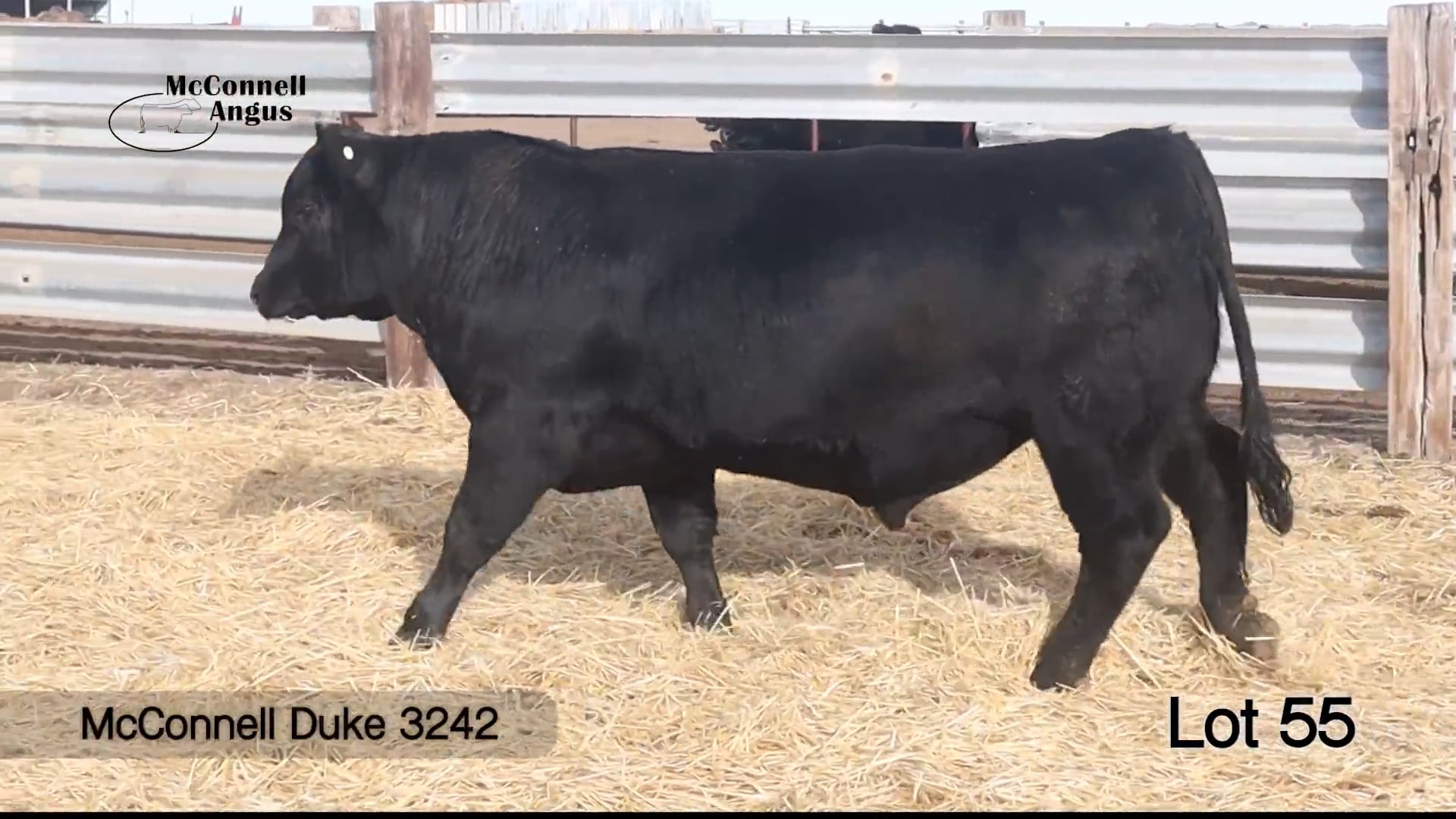 Lot 55 McConnell Duke 3242