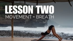 Lesson #2 (Movement + Breath)