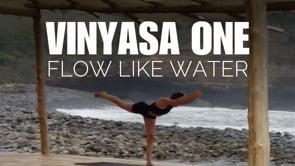 Vinyasa 1 (More Cues)