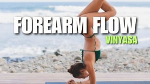 Pincha Vinyasa Flow