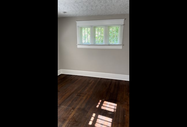 Seeking Professional Roommate Main Photo