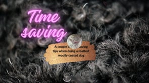 Some tips when dealing with a matted dog that you dont want to shave