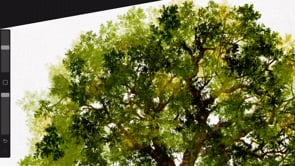 Procreate Leaves and Plants bundle, a Brush Add-On by HopeArtIllustration (Thumbnail 10 of 10)