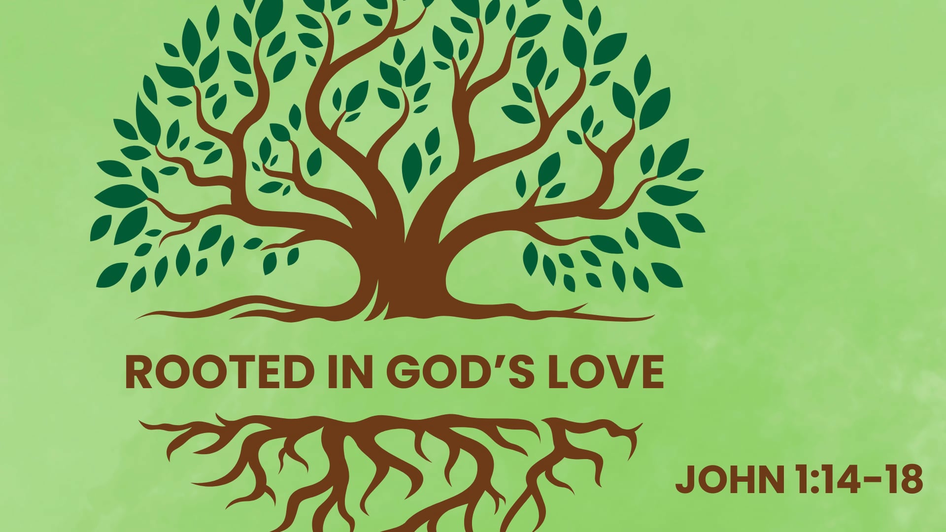 Sunday January 5, 9:30am "Rooted in God’s Love"