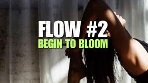 Flow #2