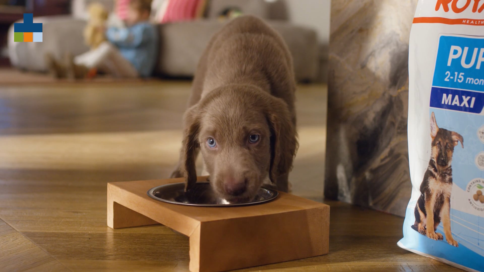 Brandvideo Medpets