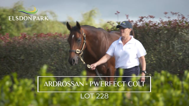 Lot 228