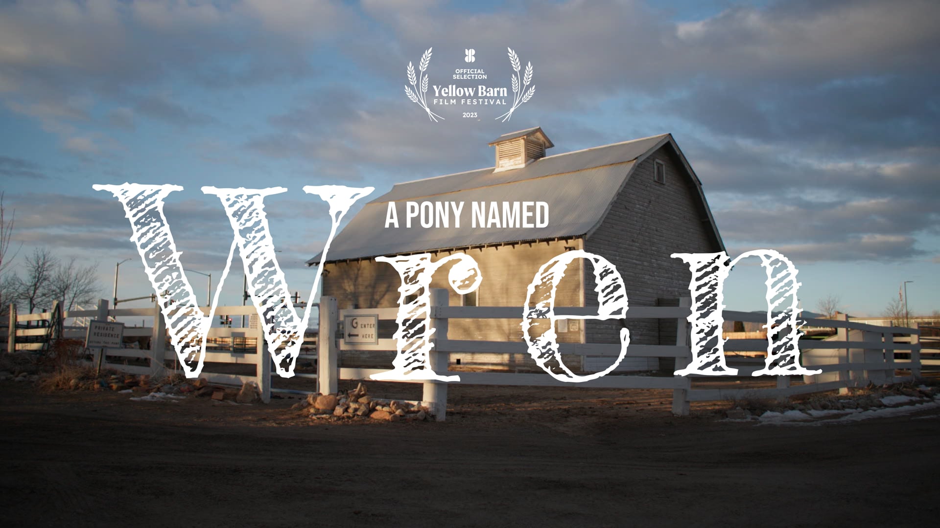 A Pony Named Wren - Short Documentary