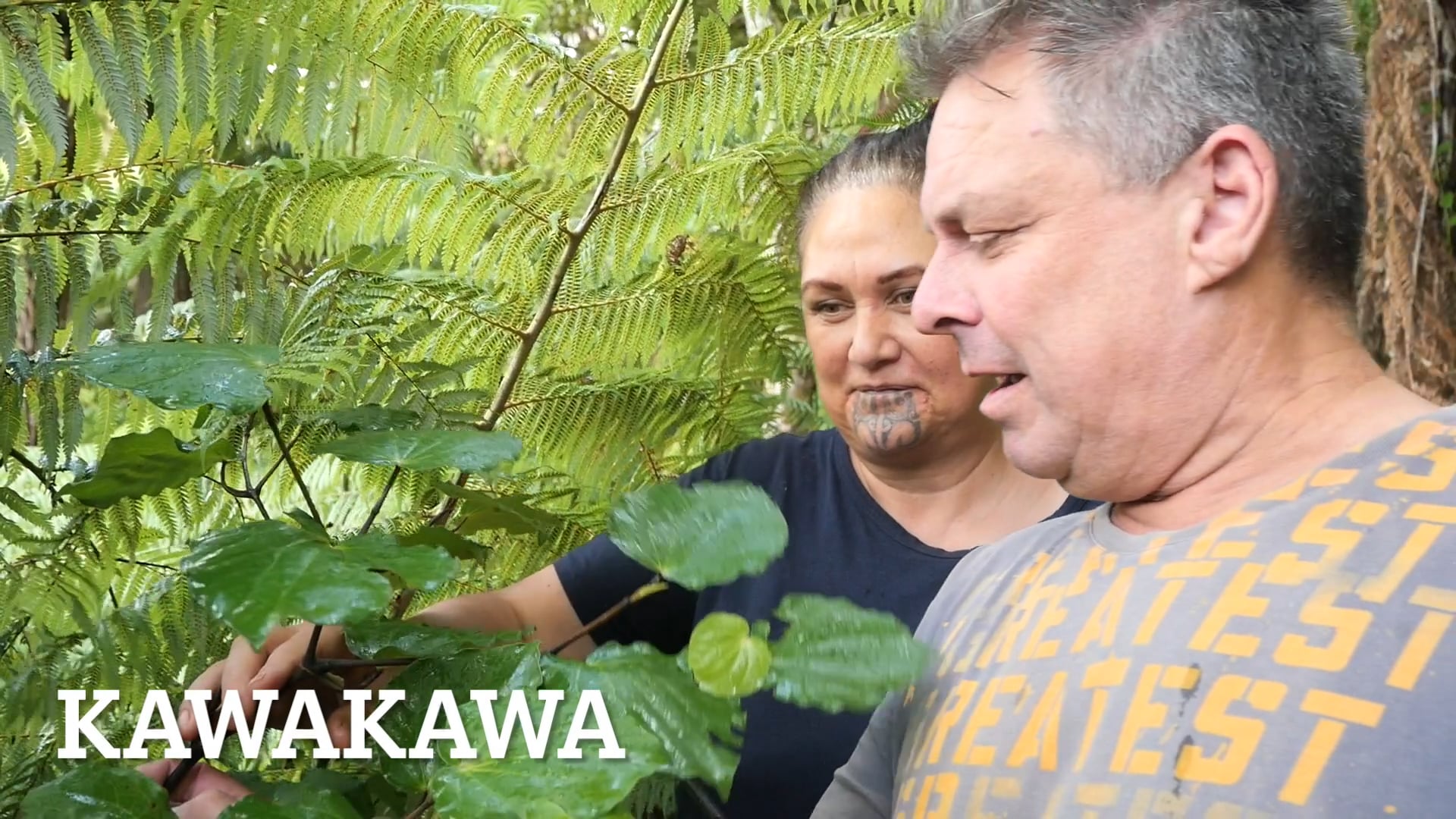 Ngāherehere Ep 1 Kawakawa