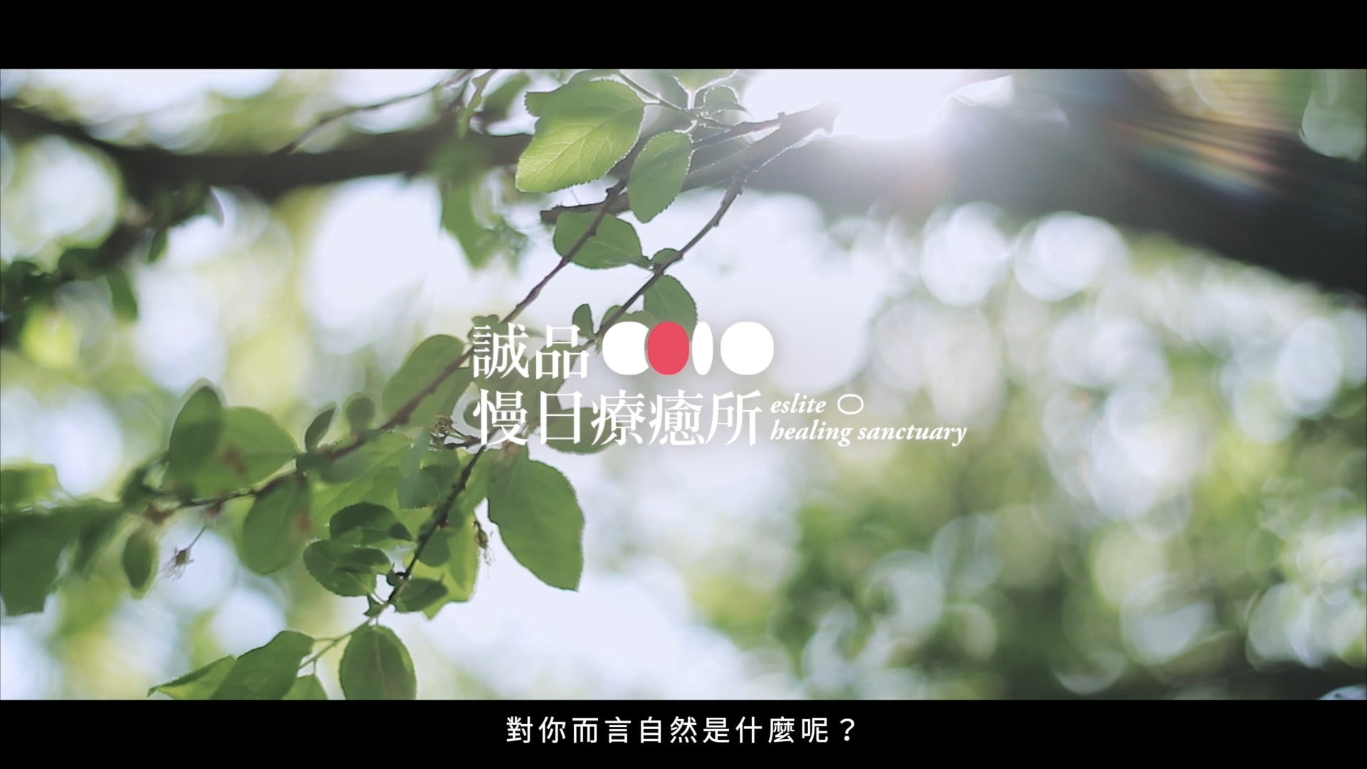 | Promo | 誠品。慢日療癒所－節氣與飲食．流動的中醫生活課｜線上課程募資影片