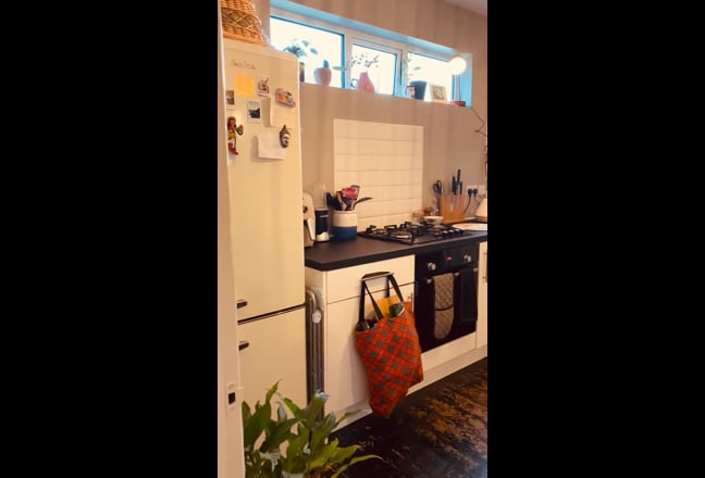 Video 1: