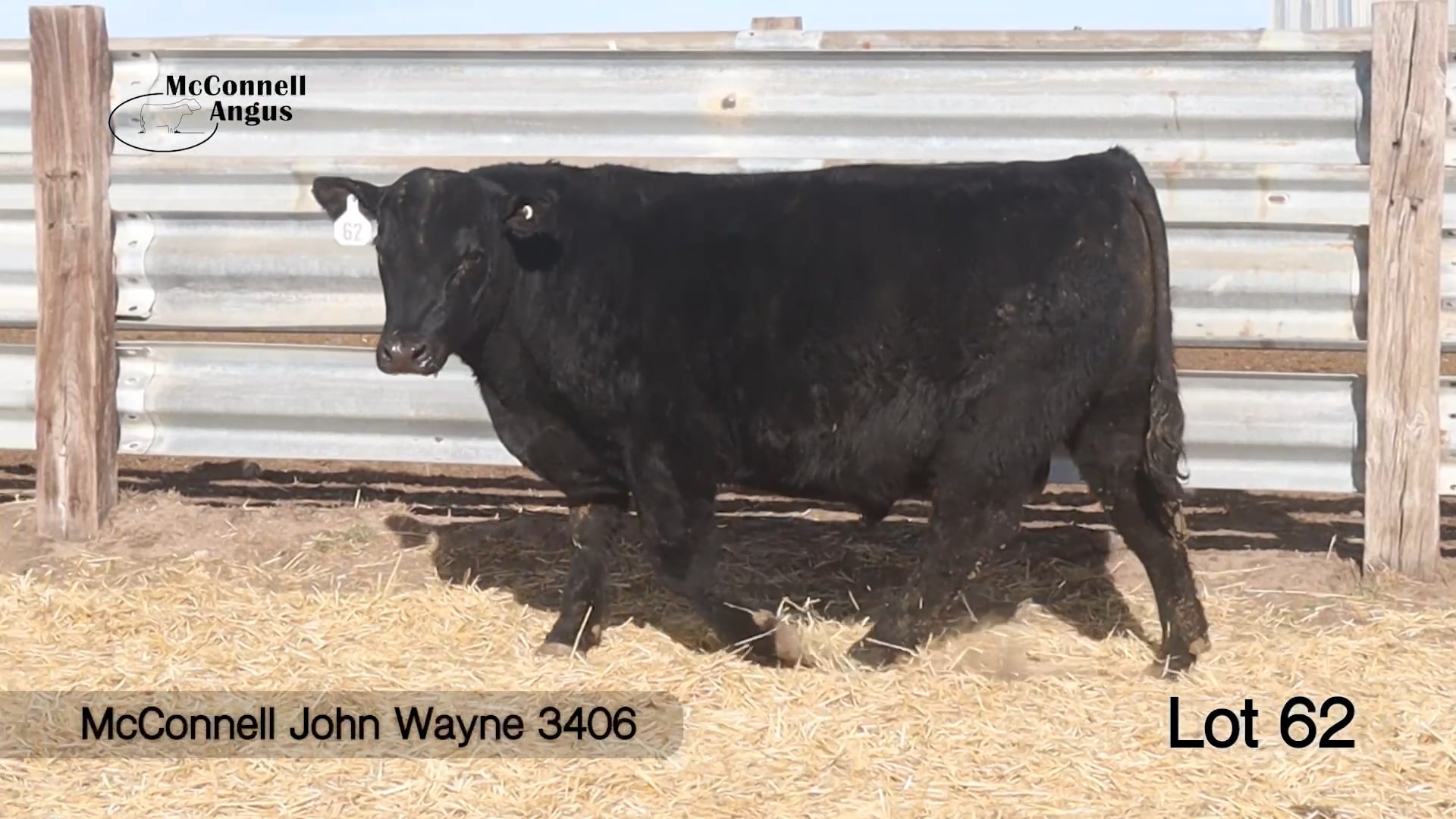 Lot 62 McConnell John Wayne 3406