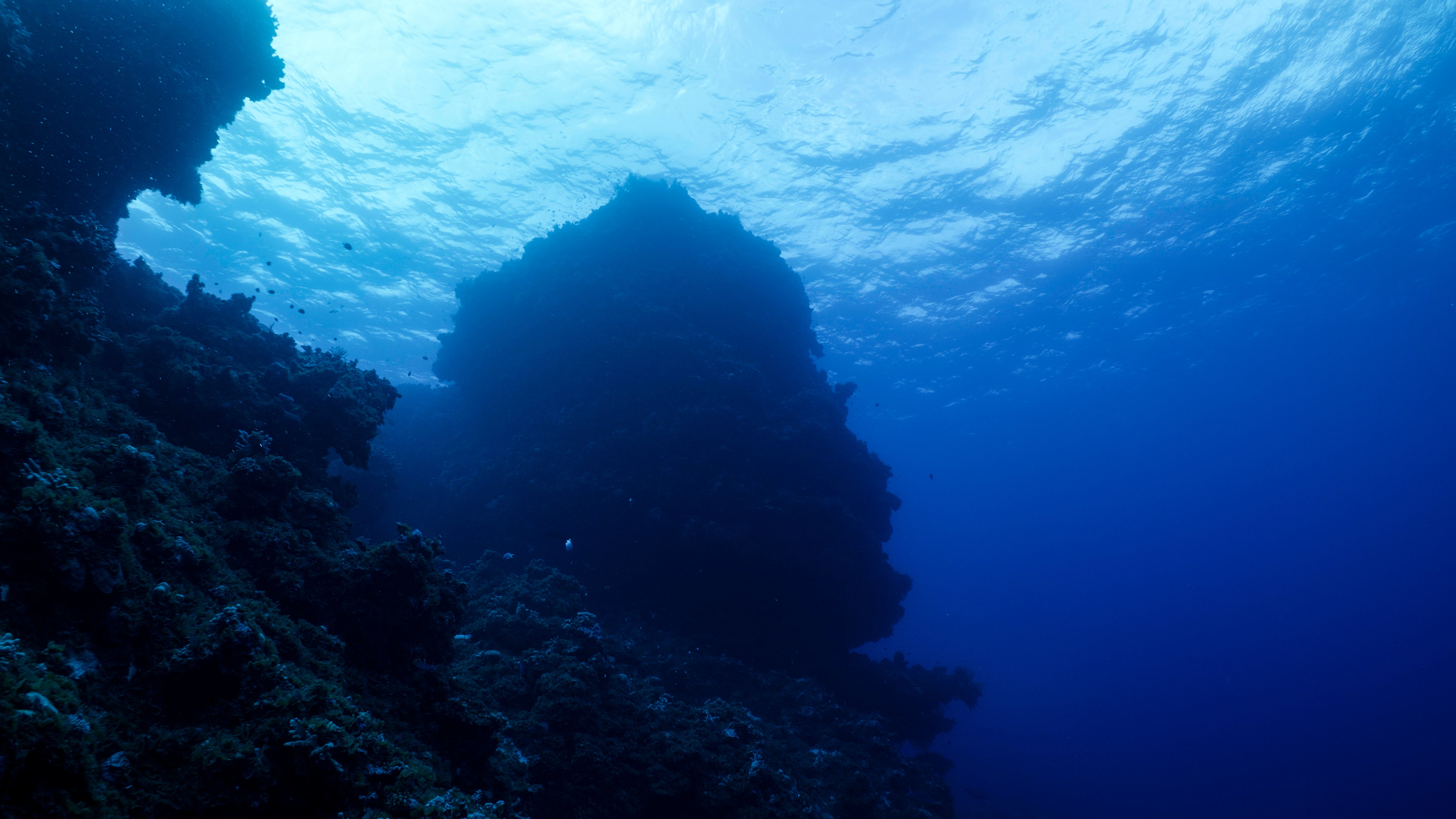Deep Coral Sea Reefs, Drop Offs & Sharks | Great Barrier Reef | 8K RED ...
