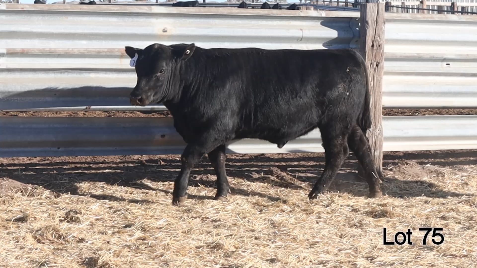 Lot 75 McConnell Final Choice 370