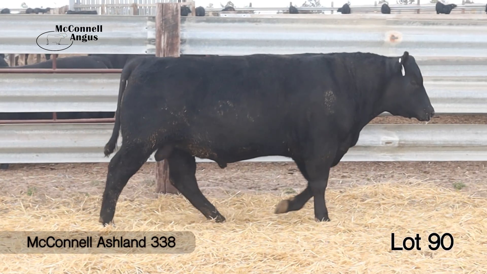 Lot 90 McConnell Ashland 338