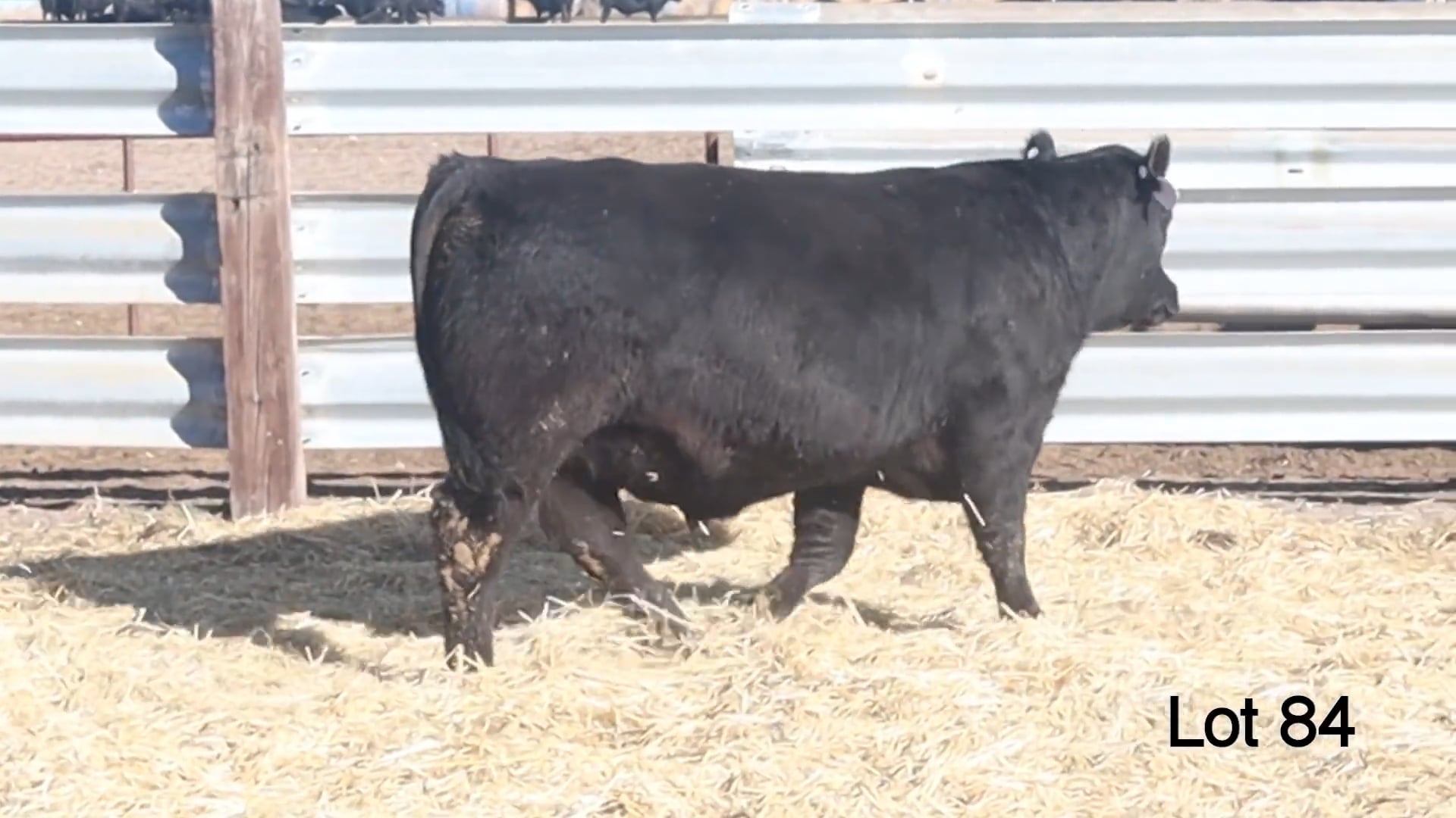 Lot 84 McConnell Bomber 4610