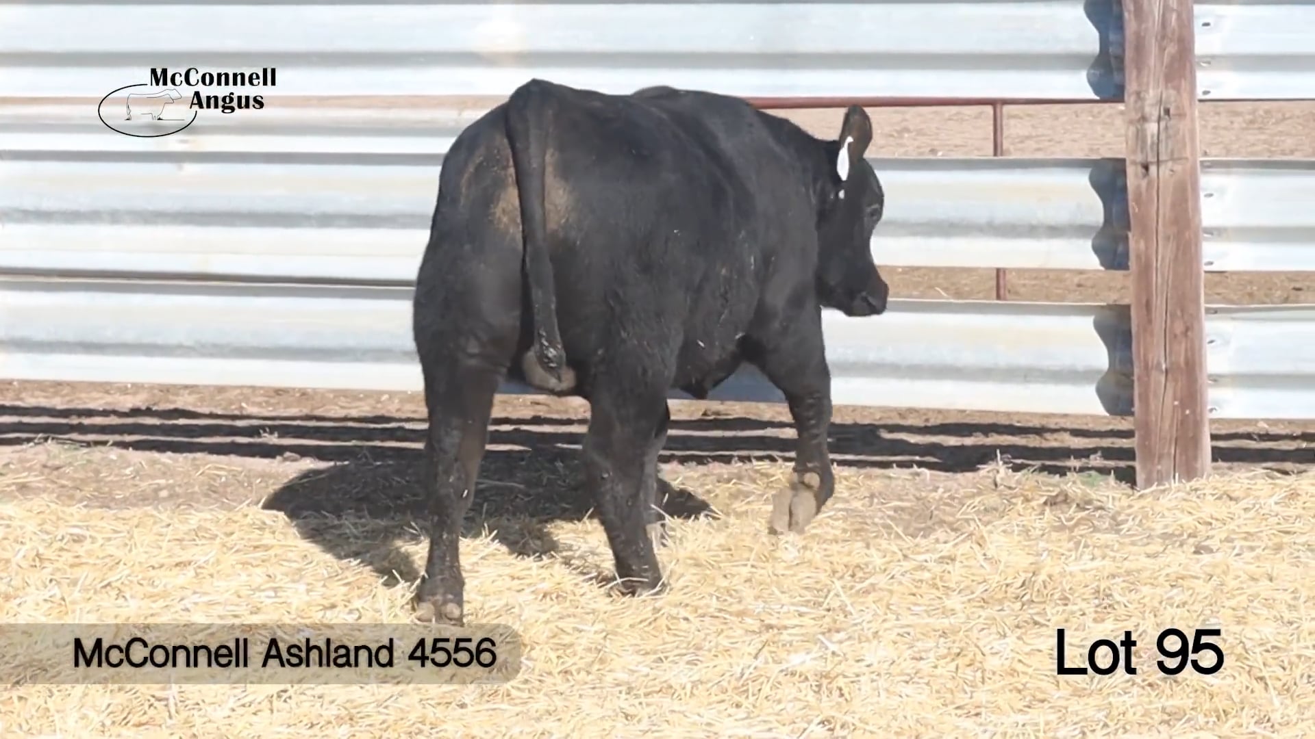 Lot 95 McConnell Ashland 4556