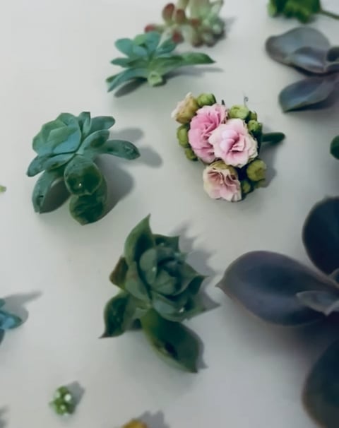 https://i.vimeocdn.com/video/1967475820-5b5ccf54f1e806ffe2b888f782e8e88894cb55bfdcda690d795b4840a8d6c2d2-d
