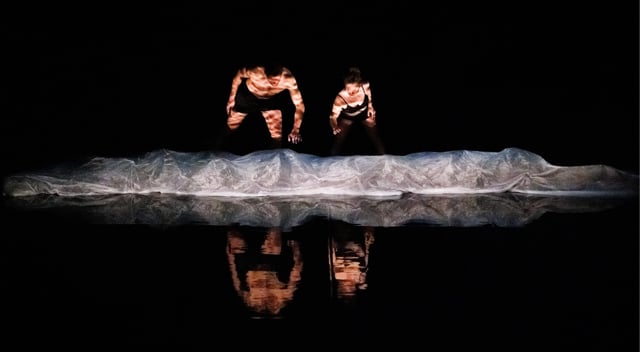 video du spectacle