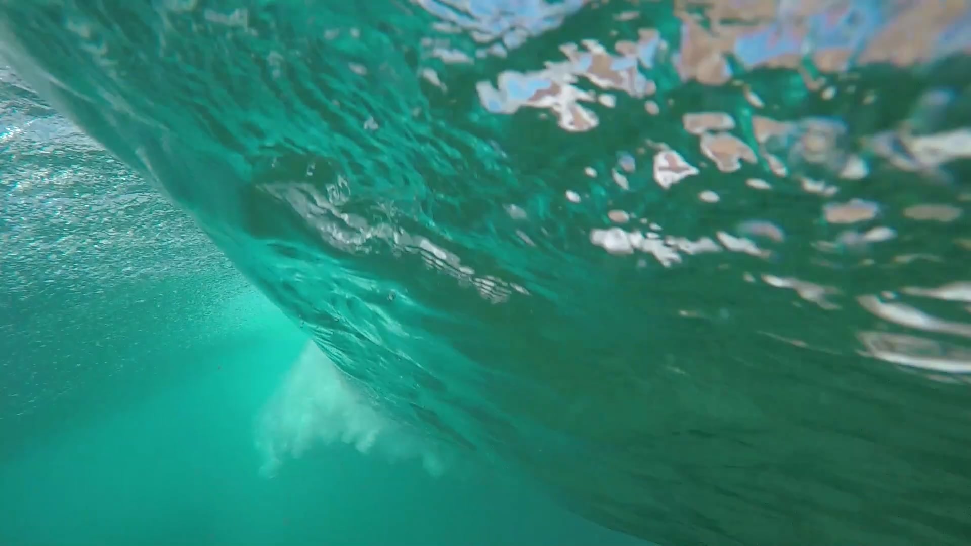 Navigating the Official Event Schedule