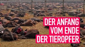 Der Anfang vom Ende der Tieropfer