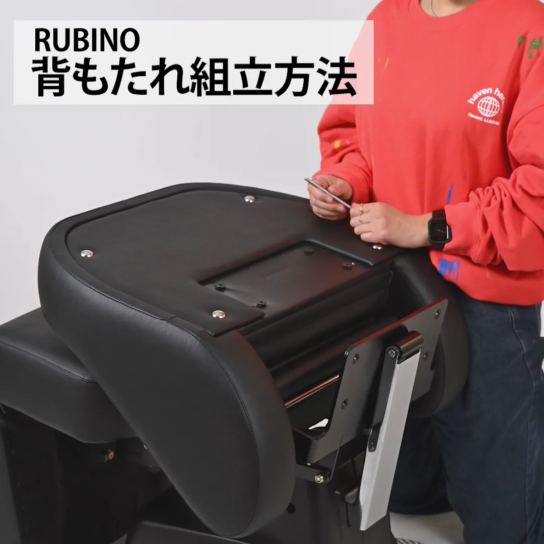 シャンプーユニッ /RUBINO [DELUXE-R ＜回転タイプ＞】 リラクゼーションシャンプーユニット RUBINO Ⅱ【DELUXE-R〈回転