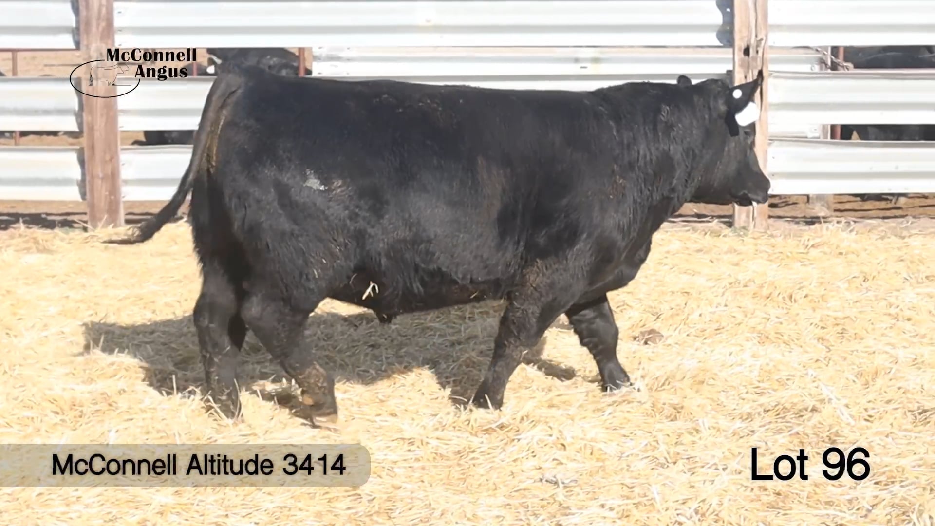 Lot 96 McConnell Altitude 3414