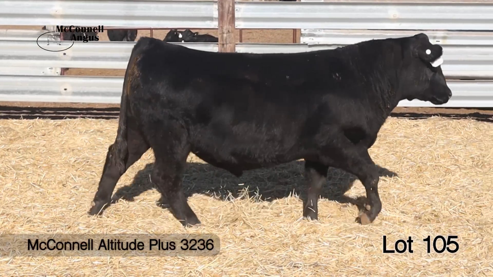 Lot 105 McConnell Altitude Plus 3236