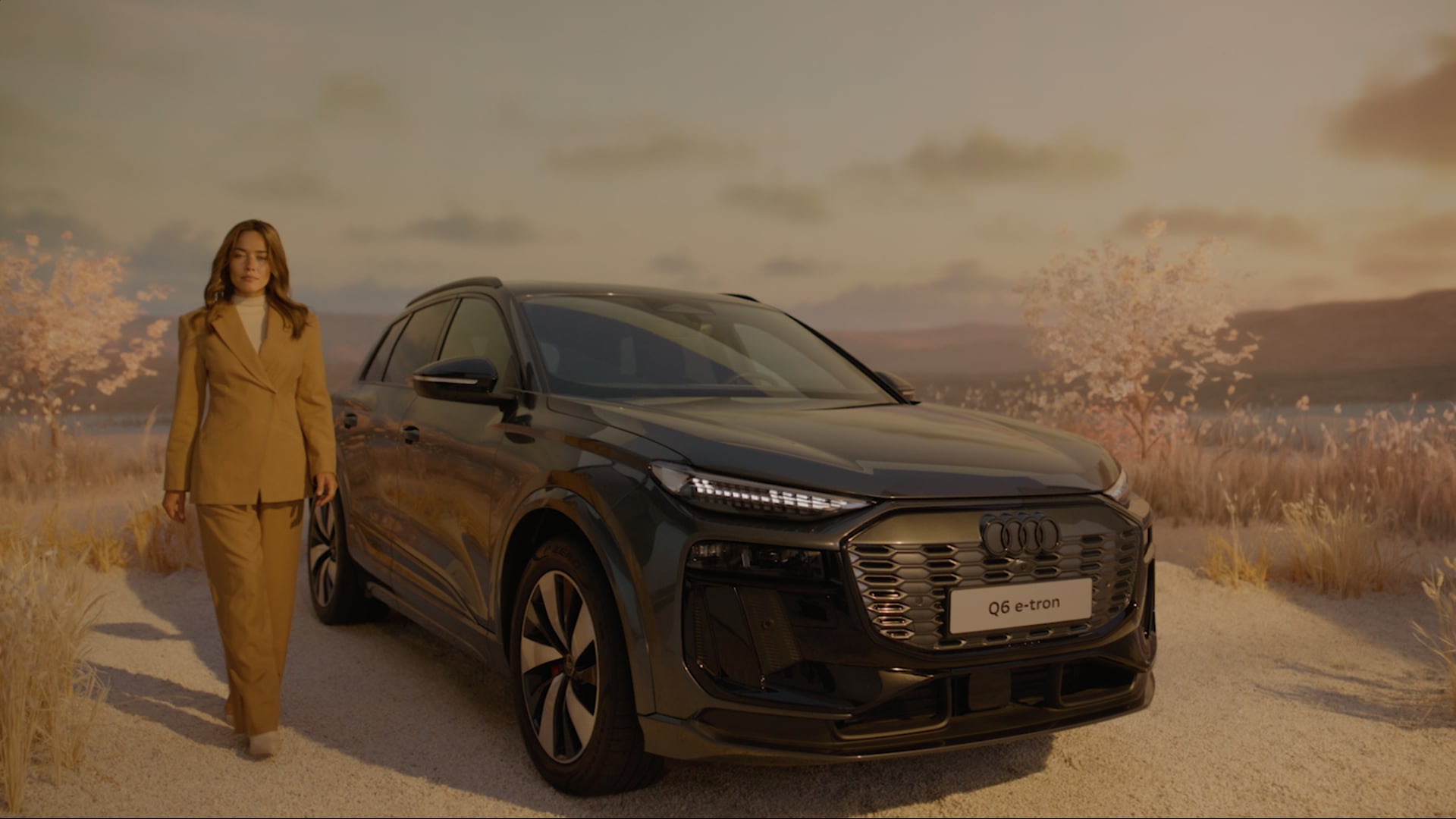 AUDI Q6 x AI.leene