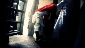 The Life of a Lamb in 60 Seconds