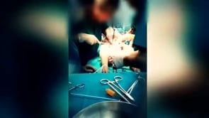 Breaking! Animal Equality Releases New Undercover Footage of Animal Experiments in Laboratories