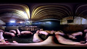 iAnimal Pigs – Narrated by Tony Kanal