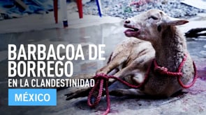 Barbacoa de Borrego: En La Clandestinidad