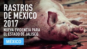 Rastros de México 2017 | Nueva evidencia para Jalisco