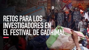 Los retos que enfrentaron los investigadores en el Festival de Gadhimai