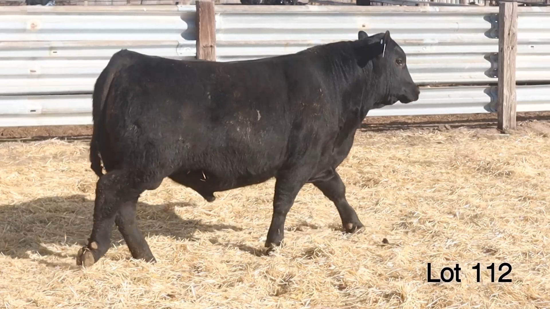 Lot 112 McConnell Yukon 3219