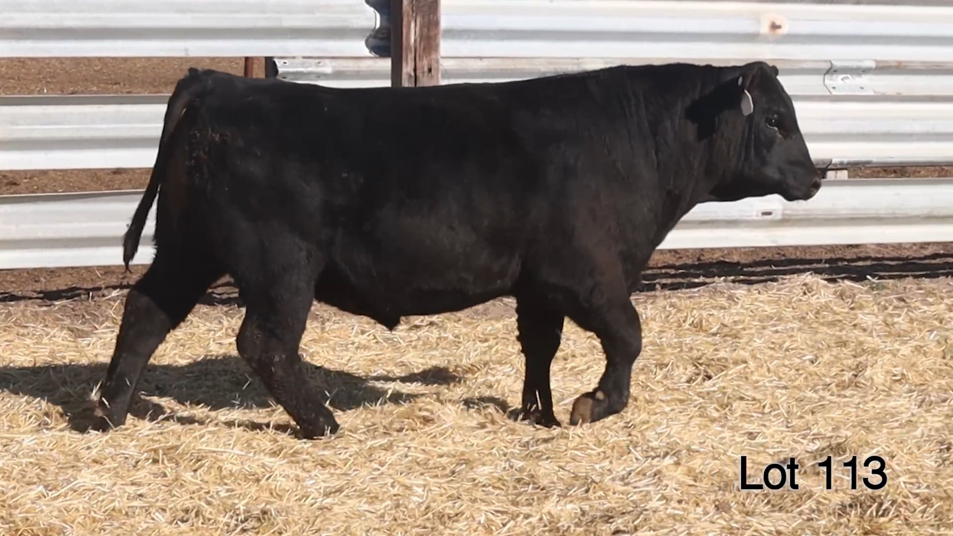 Lot 113 McConnell Yukon 3235