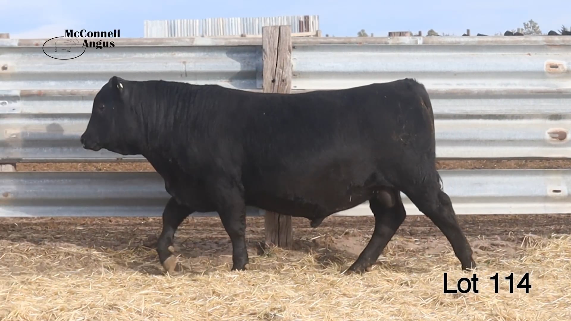 Lot 114 McConnell Yukon 2401