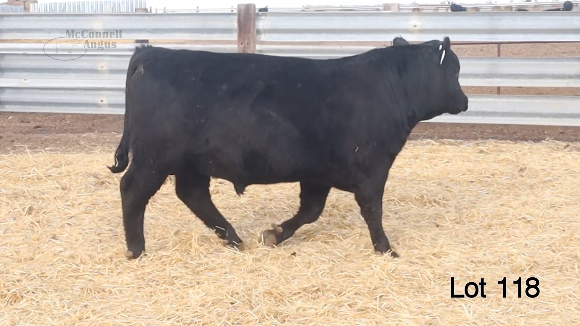 Lot 118 McConnell Yukon 3717