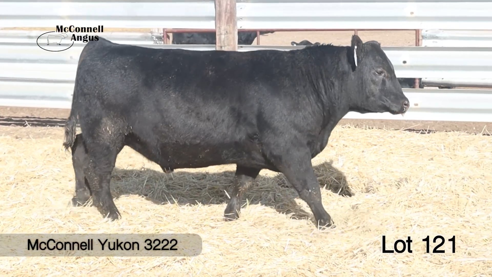 Lot 121 McConnell Yukon 3222