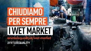 Mercati sudici e macellazione all’aperto: PANDEMIE E VIRUS NASCONO QUI!