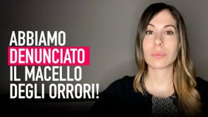 Abbiamo denunciato il macello degli orrori di Cremona!