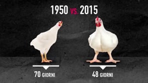 Scopri Il Tuo Cibo