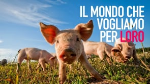 Un mondo migliore per gli animali