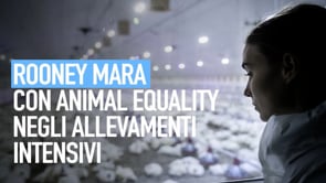 WITH MY OWN EYES: Rooney Mara per Animal Equality