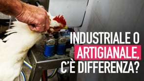 Macello industriale o artigianale: c’è differenza?